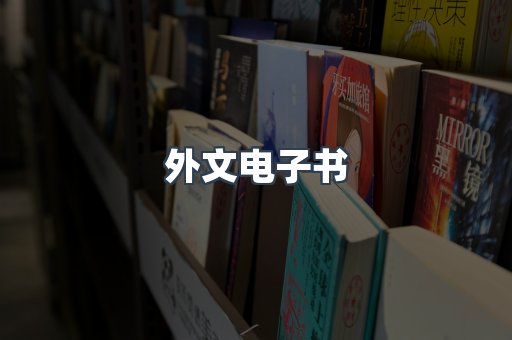 外文电子书